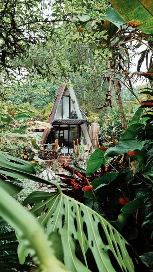 Glamping Salento Con Jacuzzi Climatizado 호텔 외부 사진
